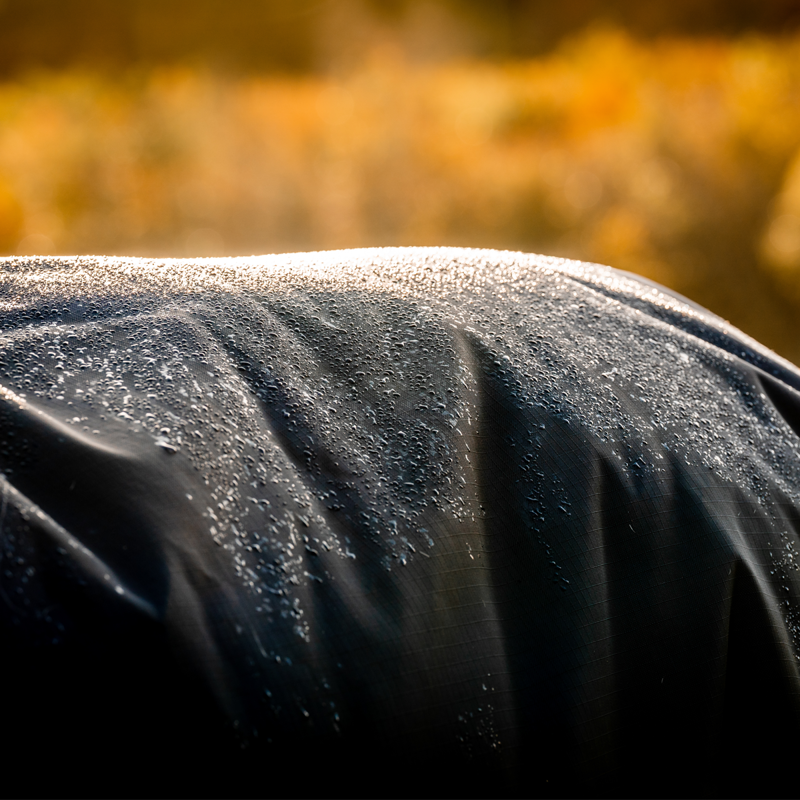 Horseware Rambo Duo Force 2.0 Turnout Rug Bundle - Navy/Teal-9